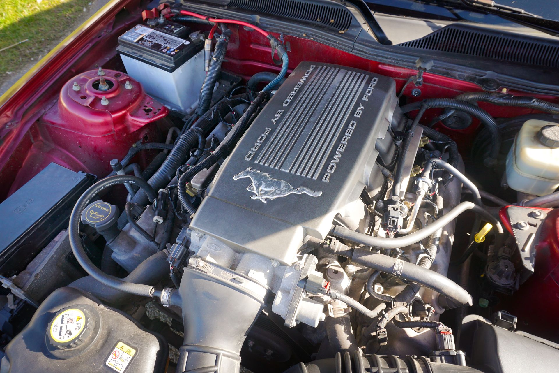 Ford Mustang V8-Motor – technische Prüfung bei Meisterklasse automobile